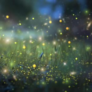 嗯啊骚B怎么那么多汁
